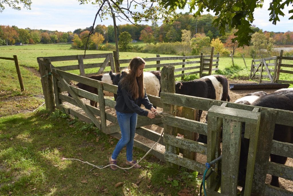 edible MAINE - Growing Food, and Growing Up