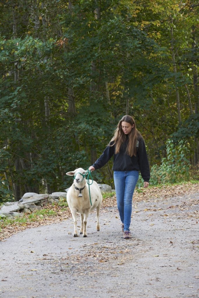 edible MAINE - Growing Food, and Growing Up