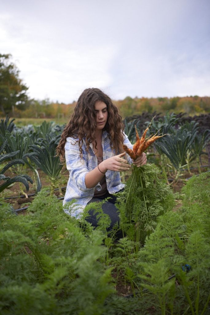 edible MAINE - Growing Food, and Growing Up