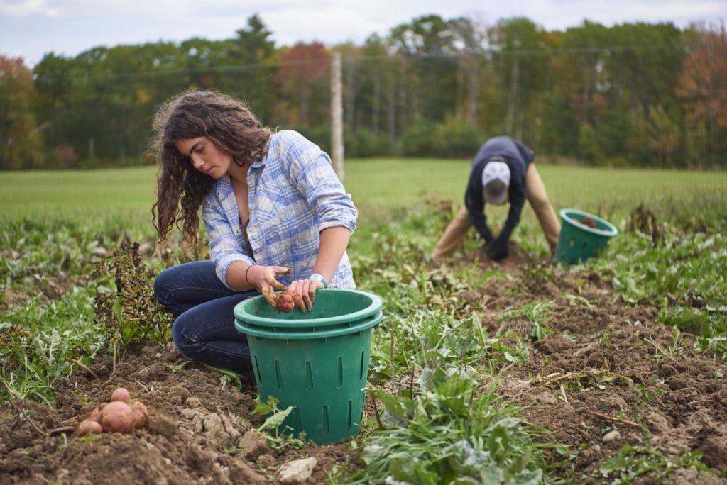 edible MAINE - Growing Food, and Growing Up
