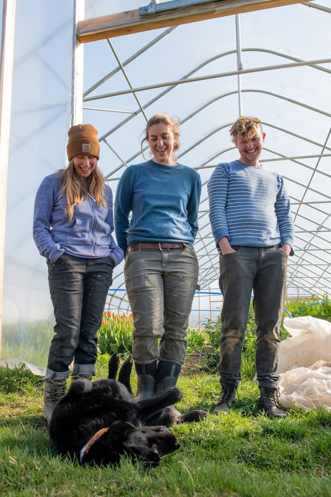 edible MAINE - Sowing seeds,Growing Flowers, Finding Joy in Rural Maine 1