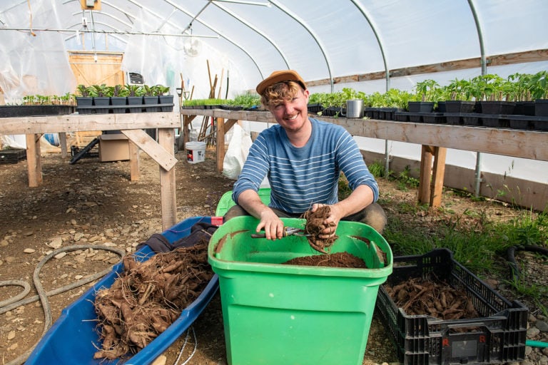 edible MAINE - Sowing seeds,Growing Flowers, Finding Joy in Rural Maine 1