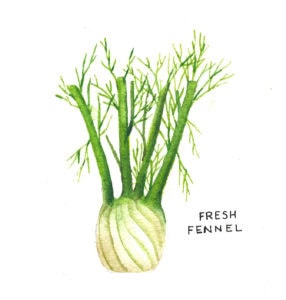 edible MAINE - Tying up Loose Ends