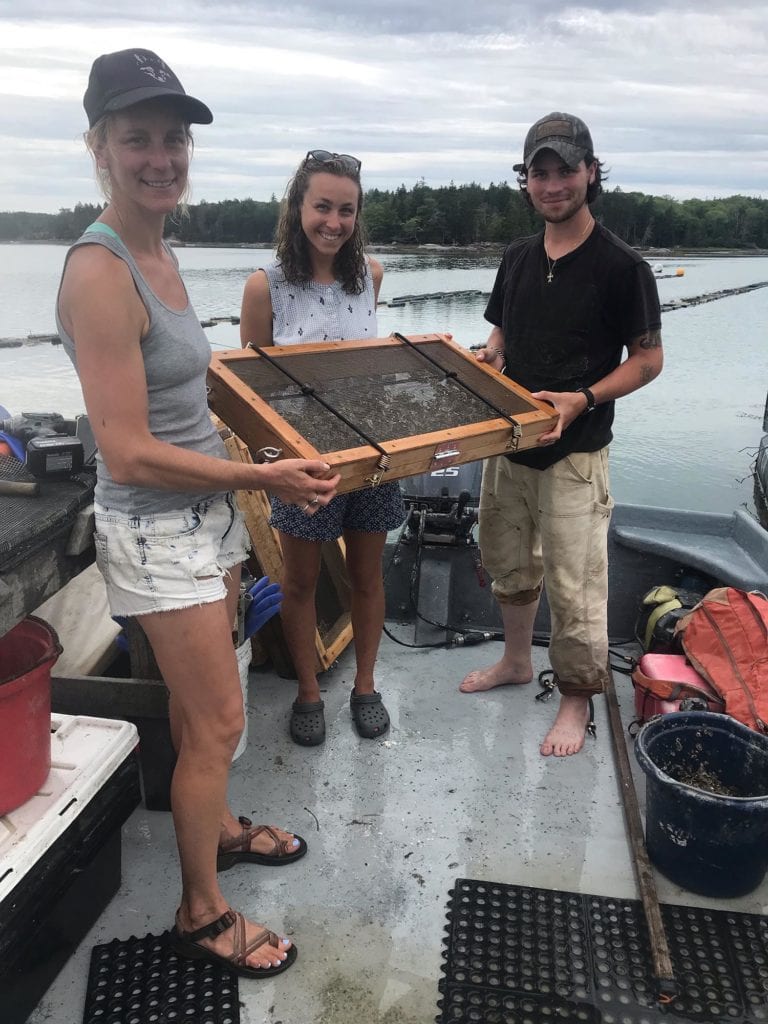 edible MAINE - Aquaculture and the Plastic Problem