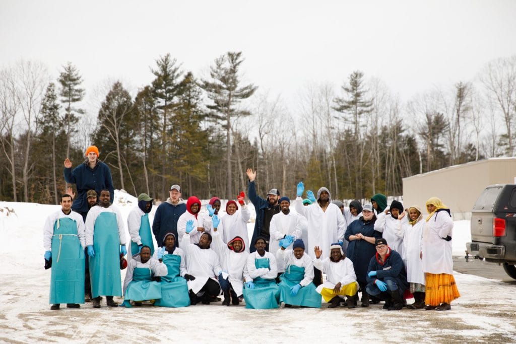 edible MAINE - Making Chicken Equitable Again