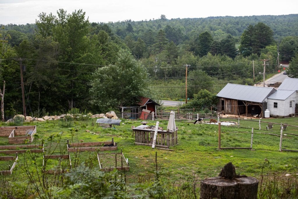 edible MAINE - From Away and Making Food Connections