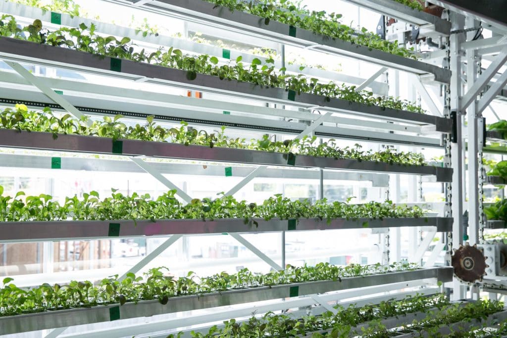 edible MAINE - Vertical Farming On the Up and Up