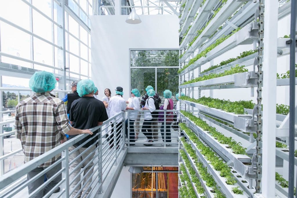 edible MAINE - Vertical Farming On the Up and Up