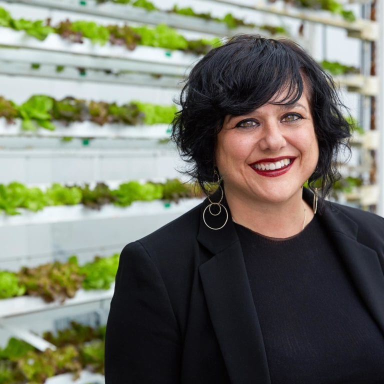 edible MAINE - Vertical Farming On the Up and Up