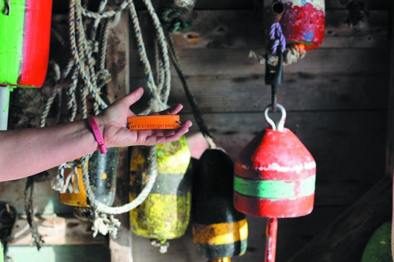 edible MAINE - Lost and Found Lobster Tags