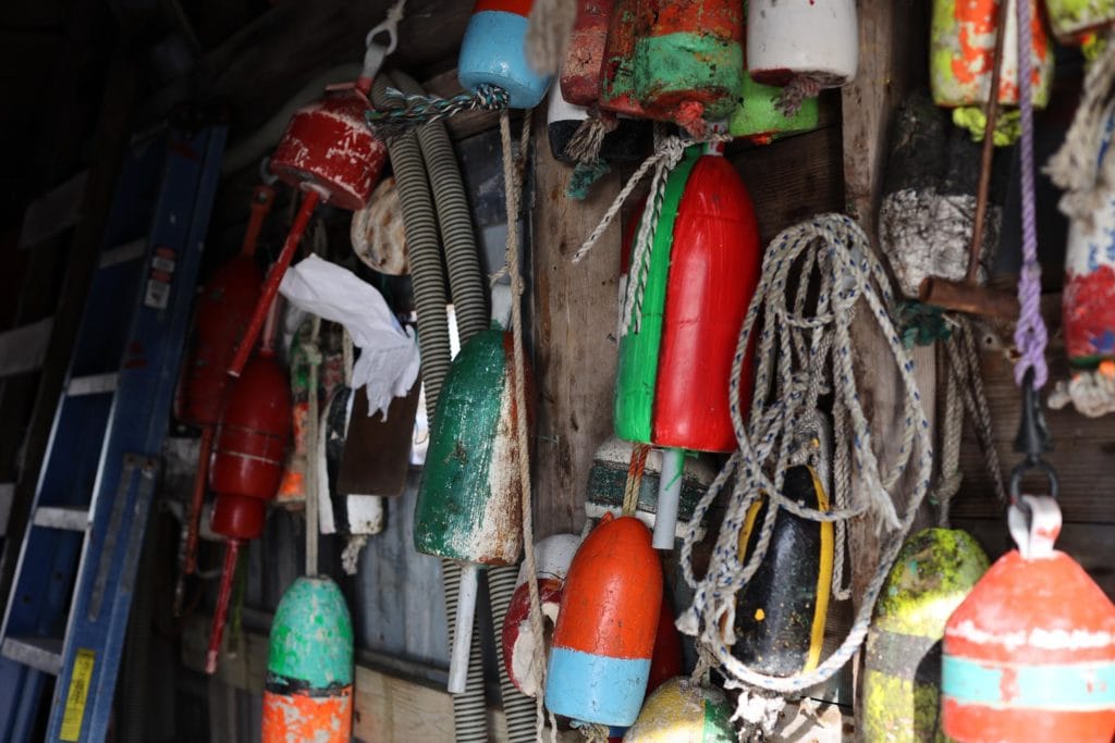 edible MAINE - Lost and Found Lobster Tags