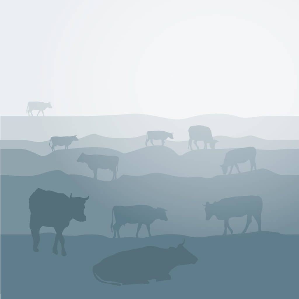 edible MAINE - Nearly Meatless