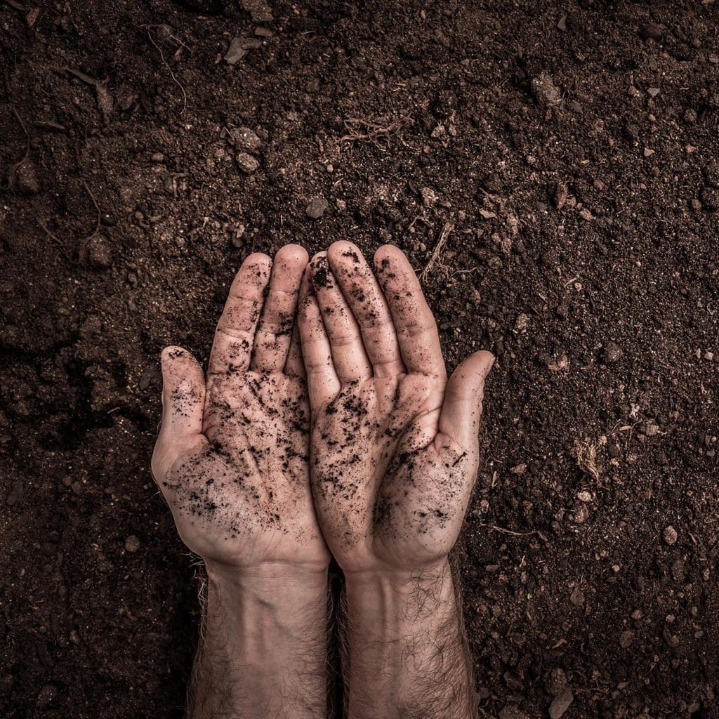 edible MAINE - 10 Things to Know About Dirt