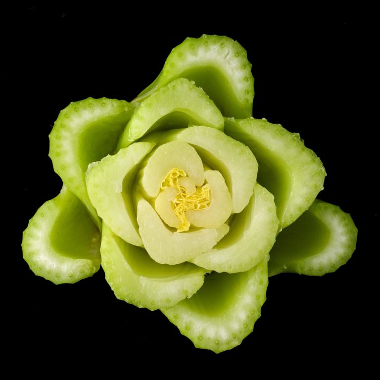 edible MAINE - Crispy Celery Hearts