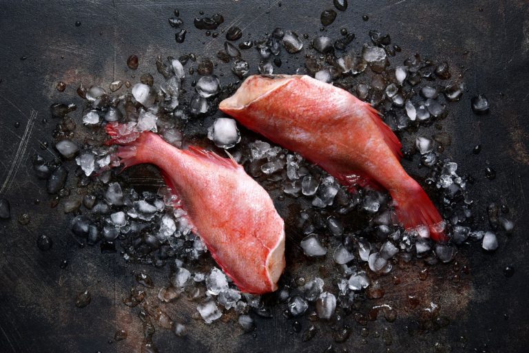 edible MAINE - Know Your Seafood!