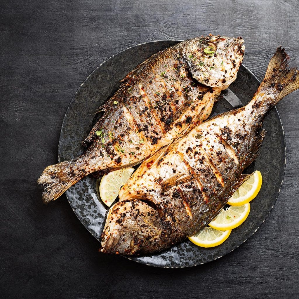 edible MAINE - Slow Fish to Your Plate