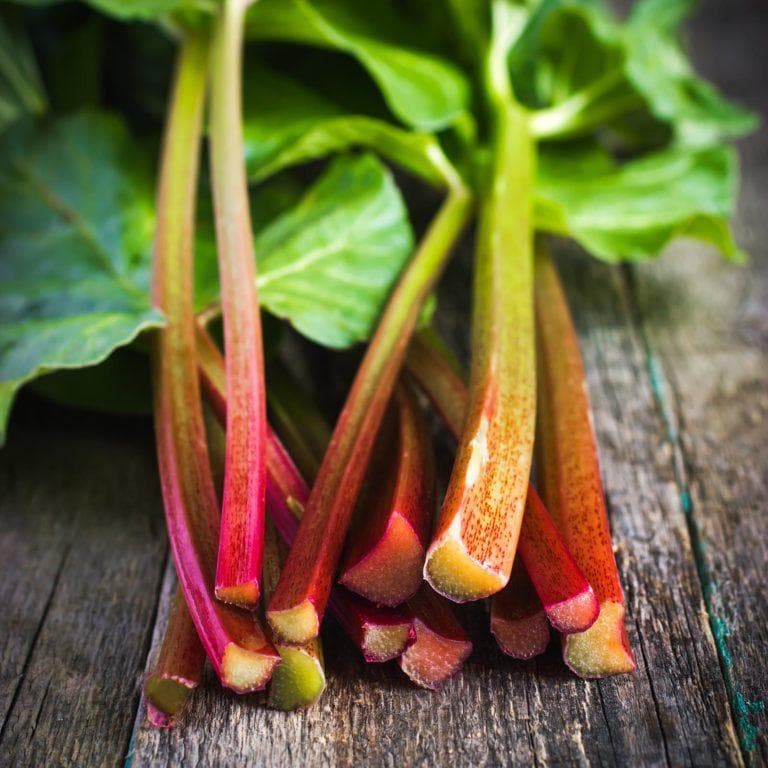 edible MAINE - 10 Things You Didn’t Know About Rhubarb