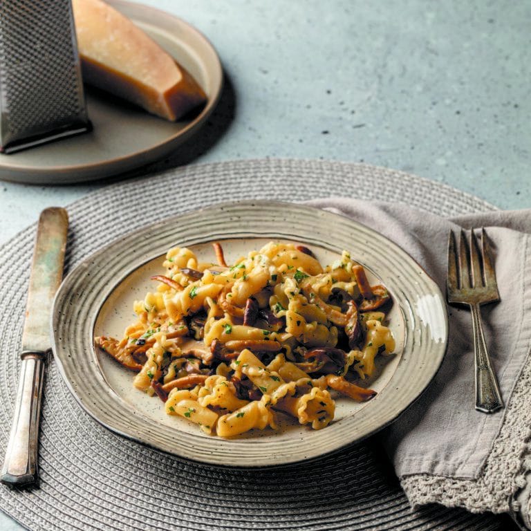 edible MAINE - Creamy Mushroom Campanelle