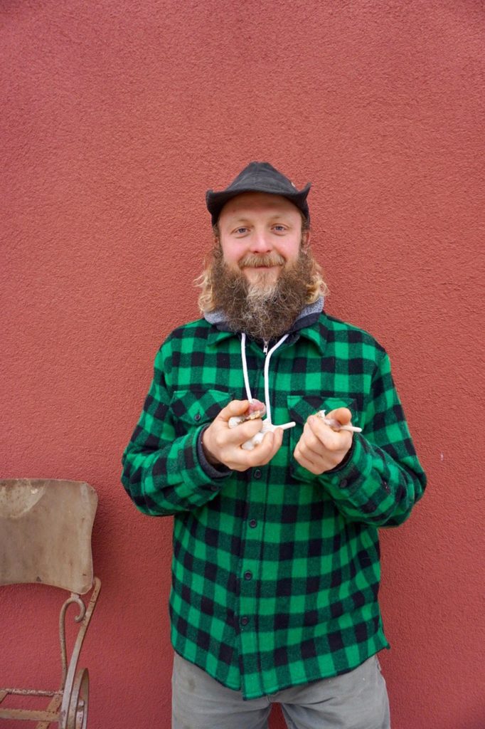 edible MAINE - Medicinal tales of a hardy bulb