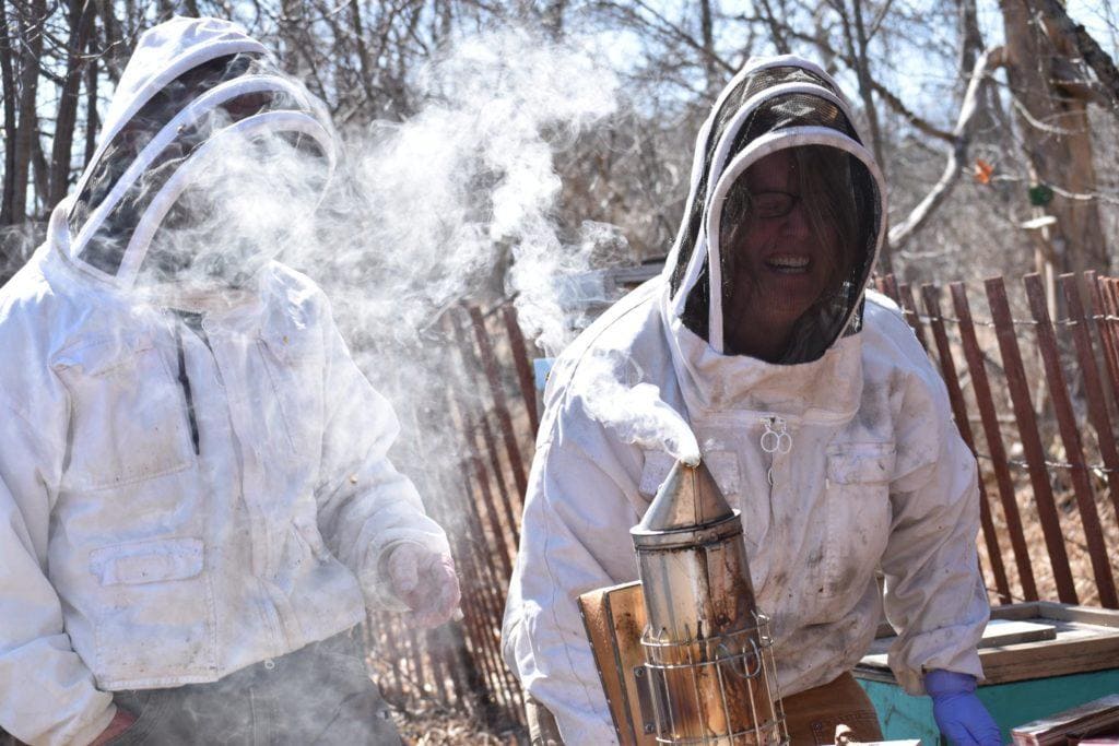 edible MAINE - Honeybee Helper