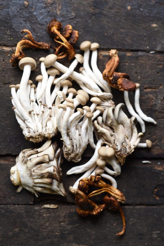 edible MAINE - Shroom Nation