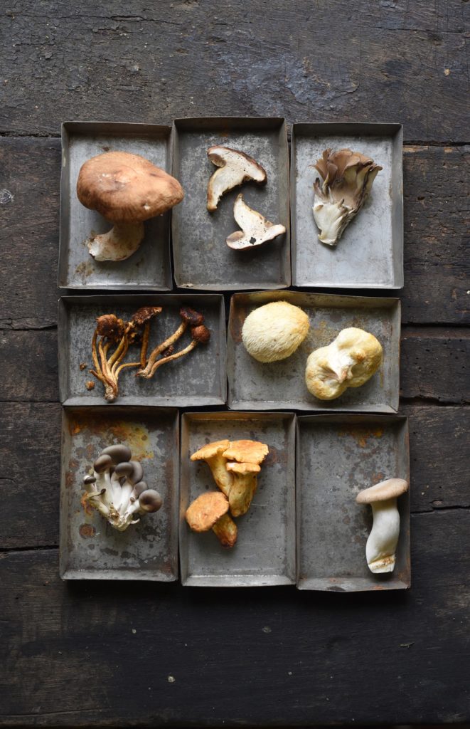 edible MAINE - Shroom Nation