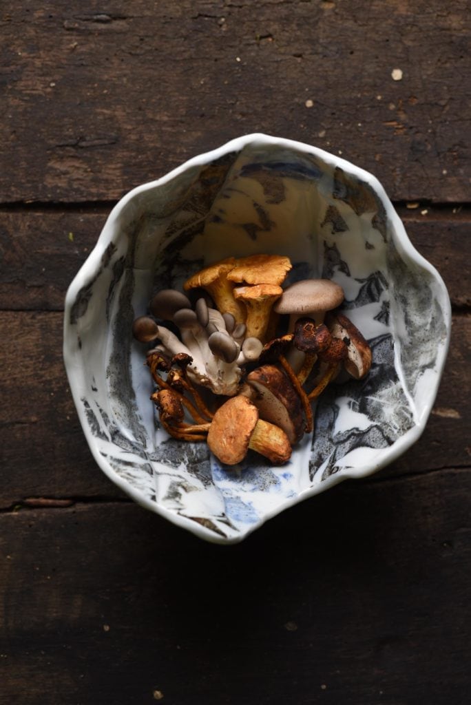 edible MAINE - Shroom Nation