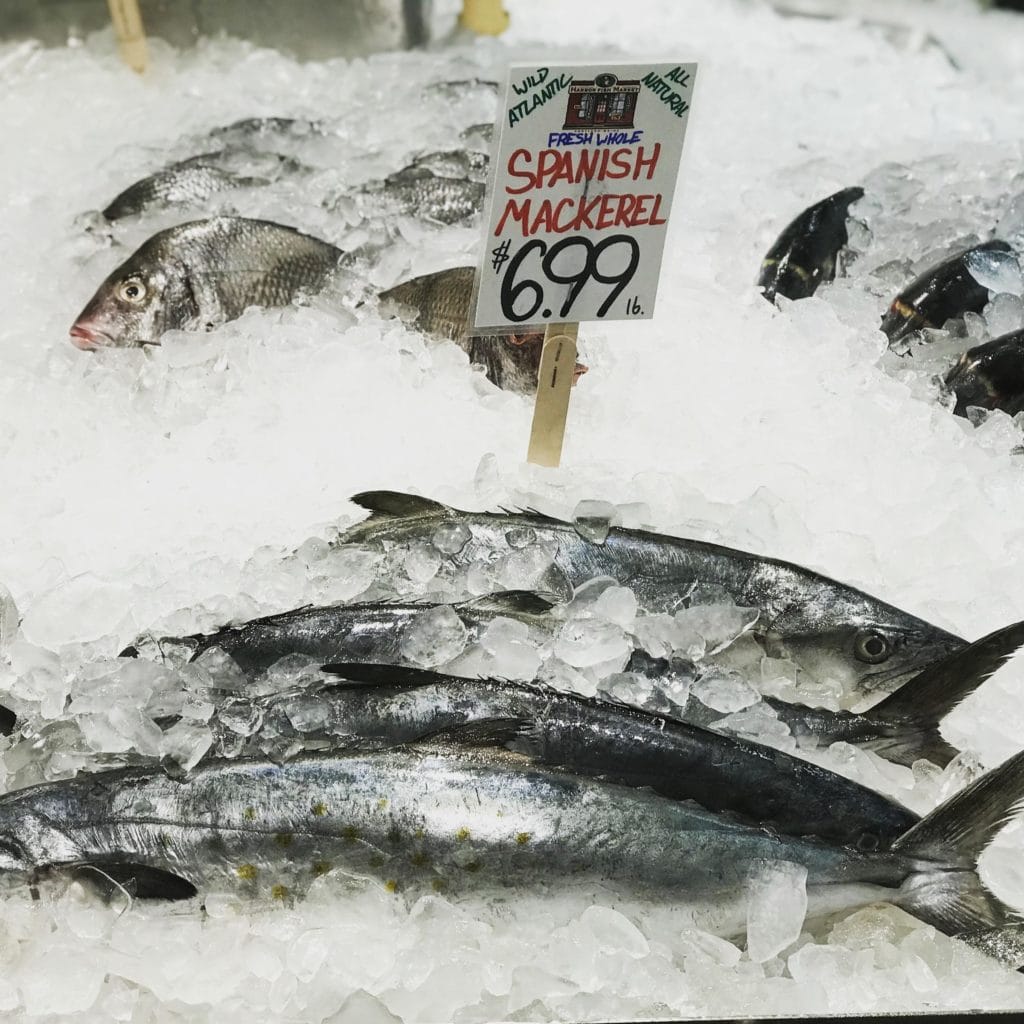 edible MAINE - Taking Comfort in Seafood Ecolabels