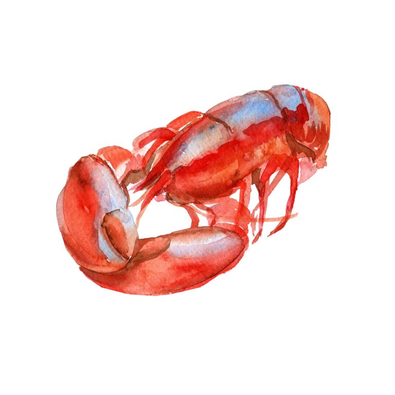 edible MAINE - zIs That Lobster or “Labster” on Your Plate?