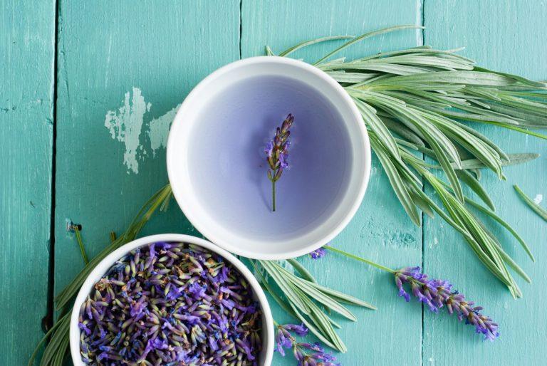 edible MAINE - Lavender Syrup