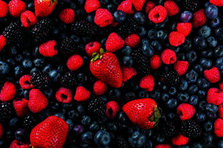 edible MAINE - Berry Delicious Summer Pies
