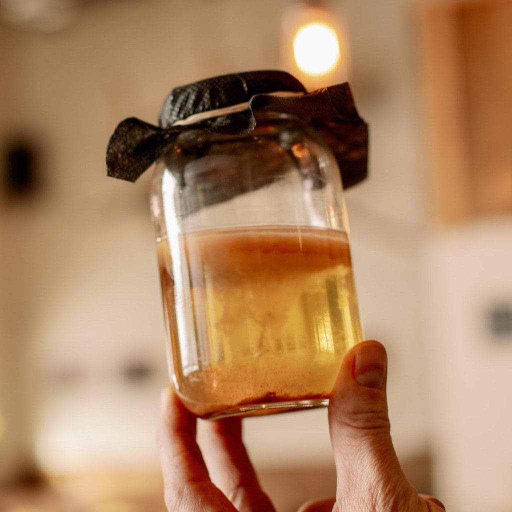 edible MAINE - Root Wild Kombucha