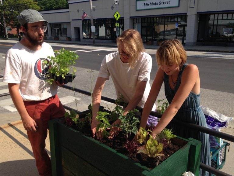 edible MAINE - Feeding an important conversation about climate change