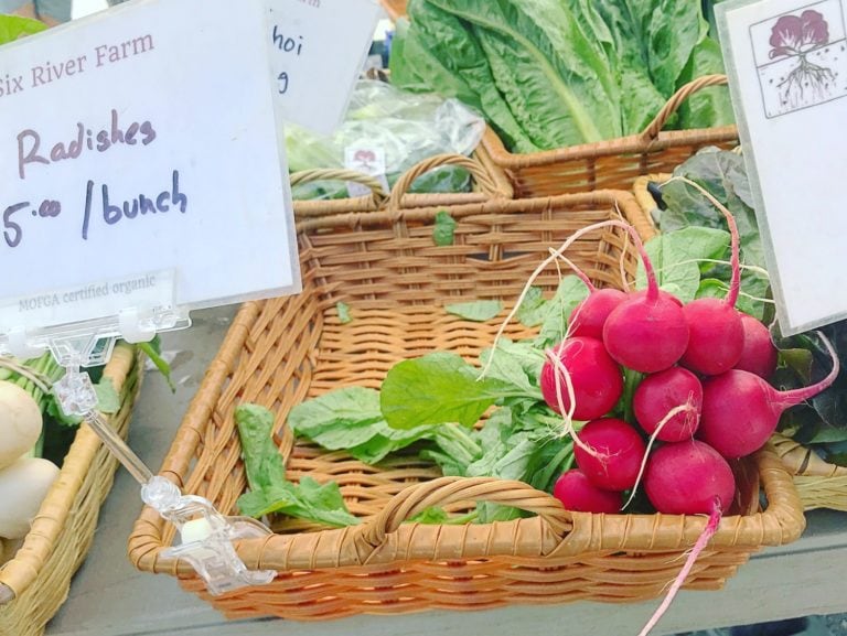 edible MAINE - Loving Local Radishes