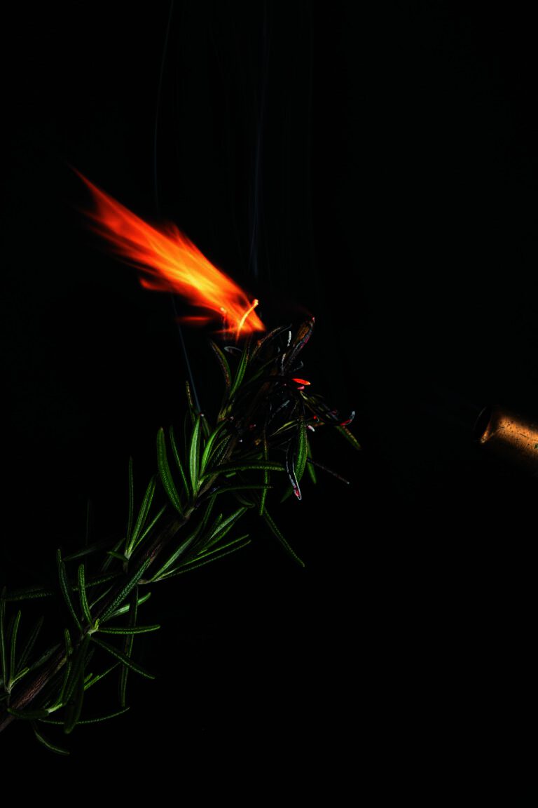 edible MAINE - Fall Flames