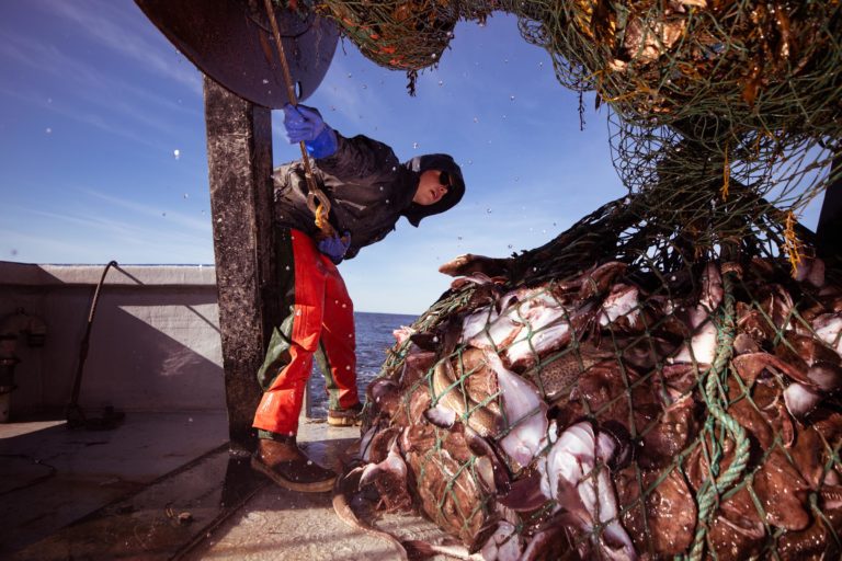 edible MAINE - Fishermen Feeding Mainers