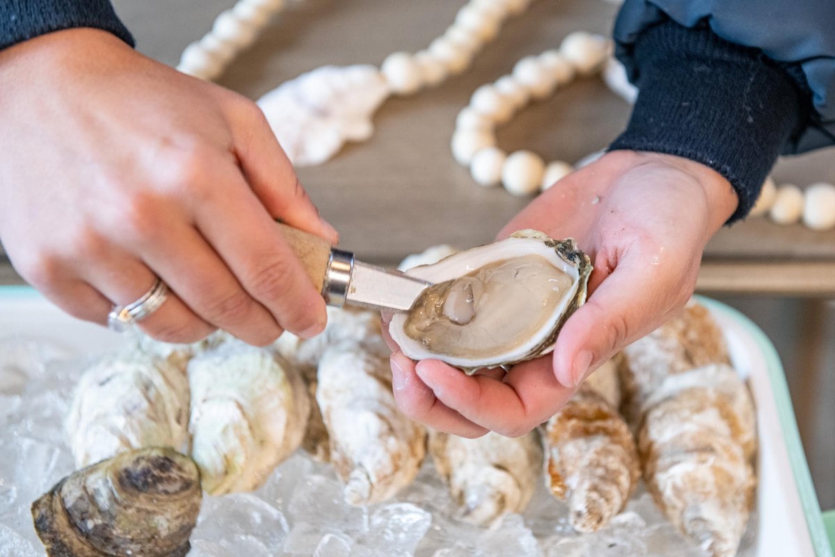 edible MAINE - Lady Shuckers Are in The Hús