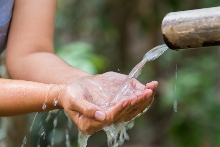 edible MAINE - 10 Things to Know About Your Water Footprint