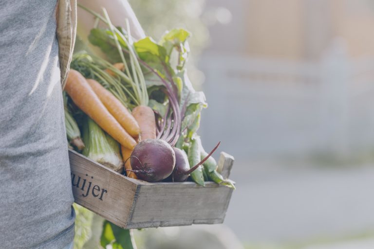 edible MAINE - • Ground to Glass: Incorporating Spring Produce into Your Cocktails