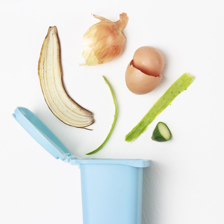 edible MAINE - 10 Things You Didn't Know About Food Waste