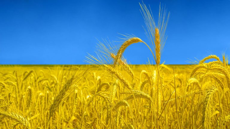 edible MAINE - Supporting The Fight in Ukraine