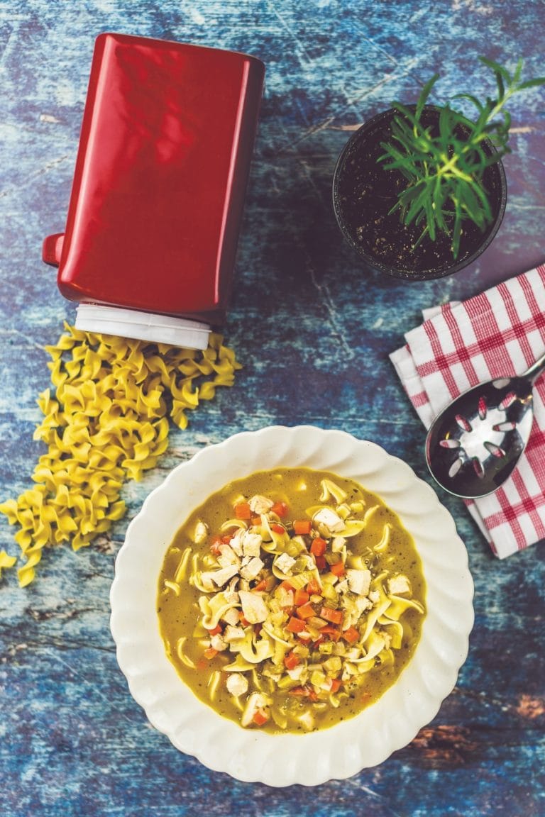 edible MAINE - Chicken Noodle Soup