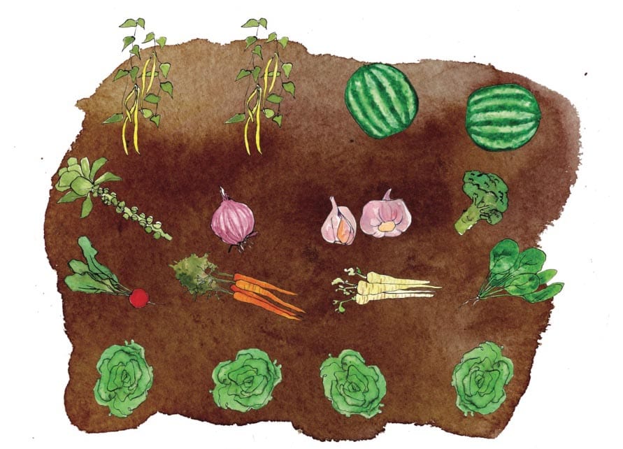 edible MAINE - Survival Gardening