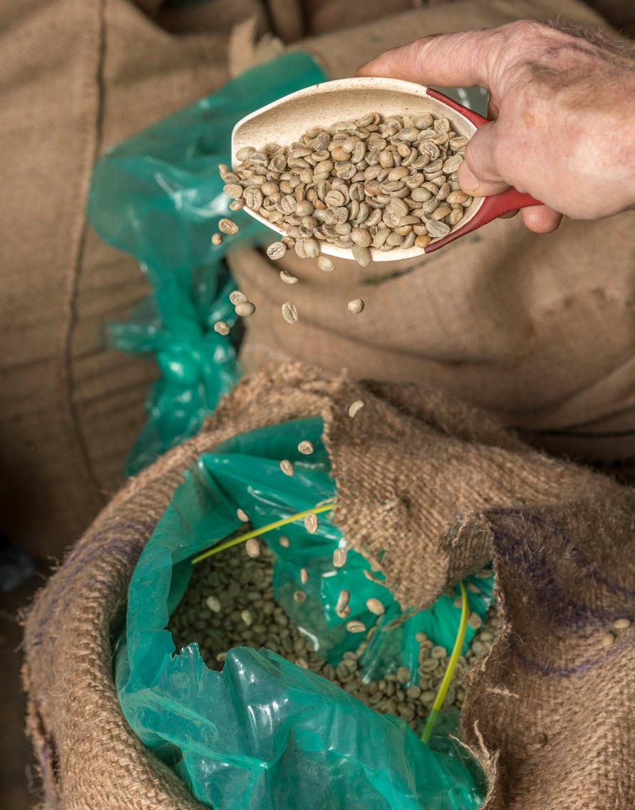 edible MAINE - Liquid Soul: The comfort of coffee