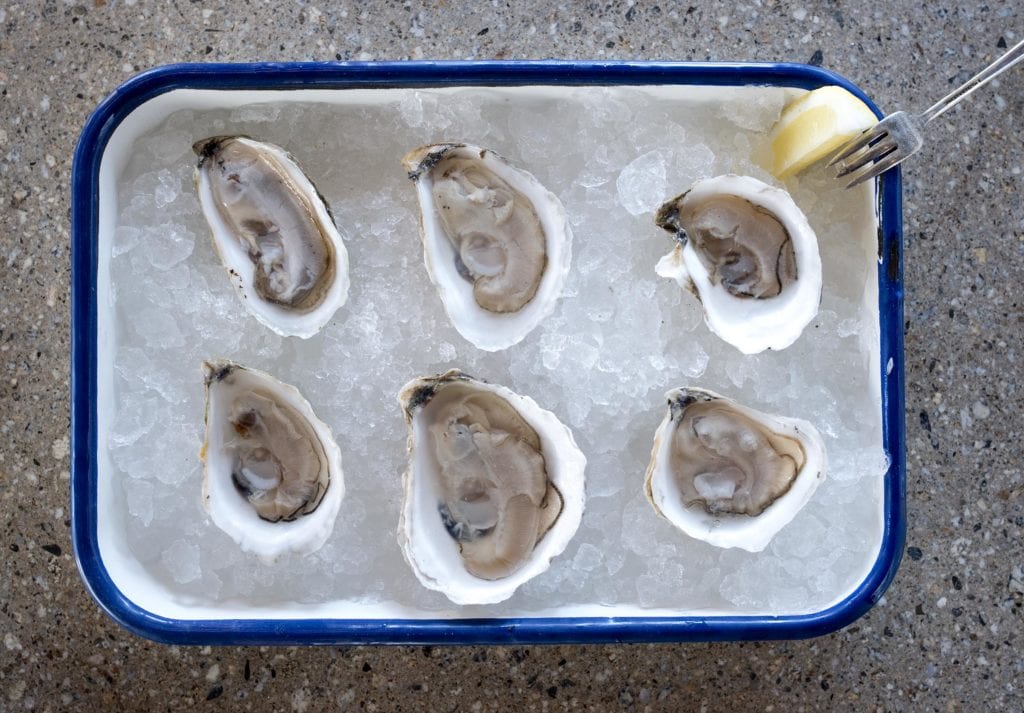 edible MAINE - Digging into Maine’s very edible coastlines