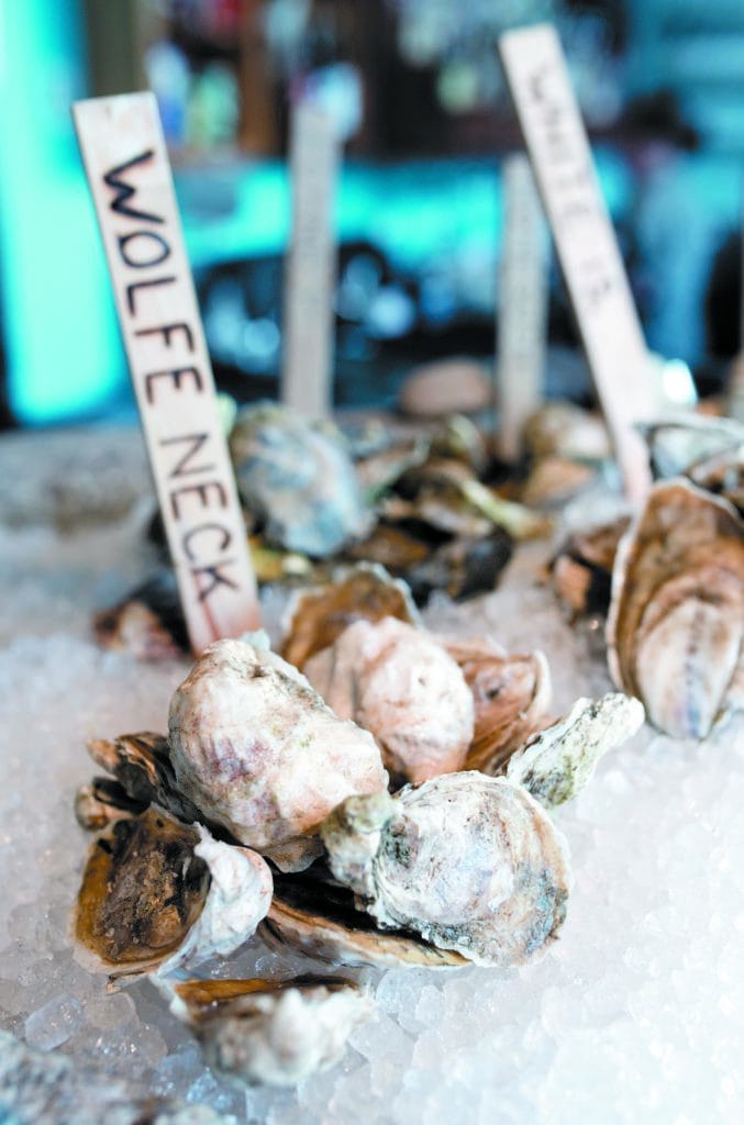 edible MAINE - Digging into Maine’s very edible coastlines