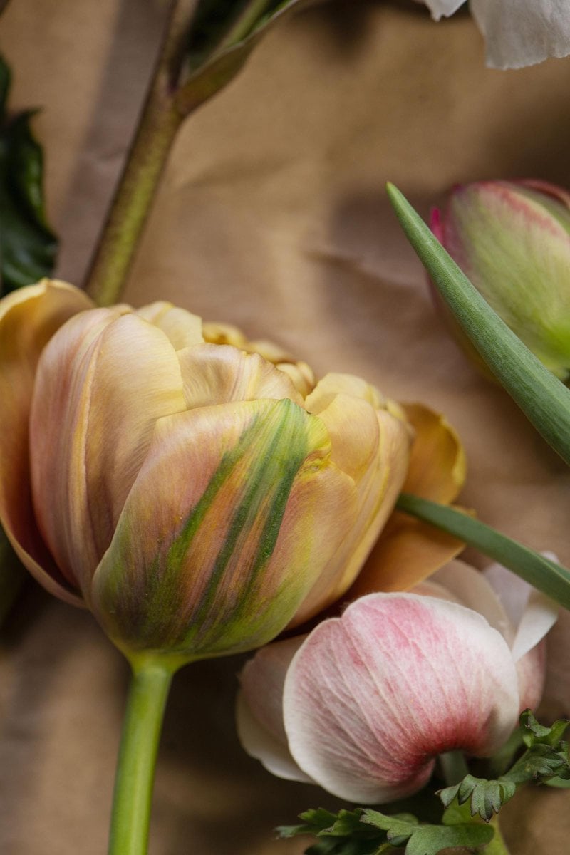 edible MAINE - For the Love of Local Flowers