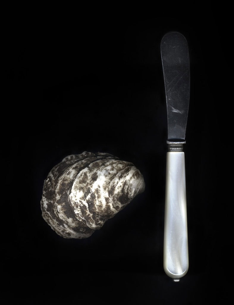 edible MAINE - Digging into Maine’s very edible coastlines