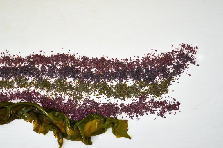 edible MAINE - Kelp Yourself to More Seaweed