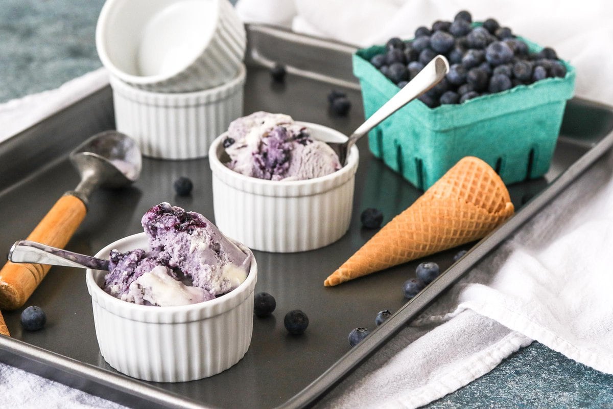 Sweet Corn Ice Cream with Blueberry Swirl edible MAINE